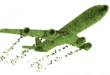 Gröna flygningar